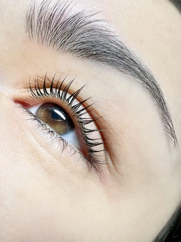 Lash Lamination with Tinting by ABC Face