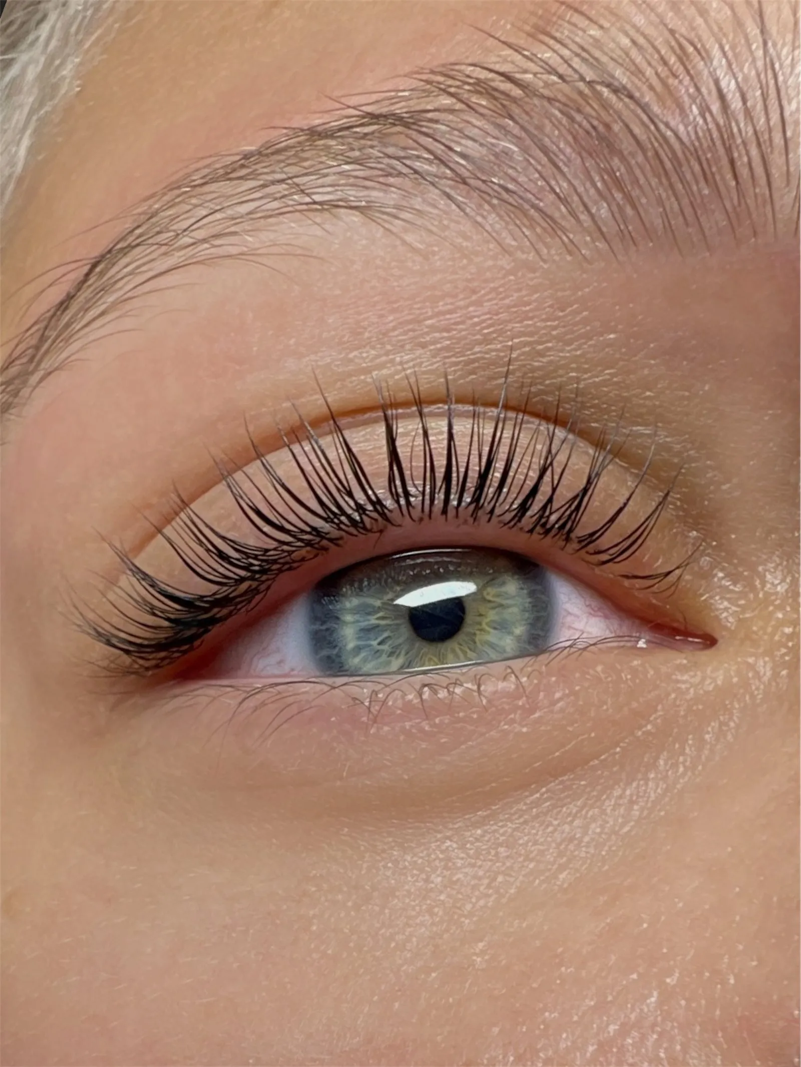 Lash and brow lamination result by ABC Face